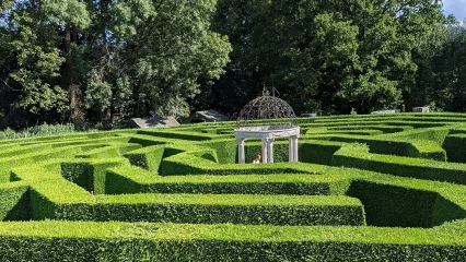 Navigating the MBA Maze: How to Research and Choose the Right Program