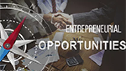 Entrepreneurial Opportunities (MOOC)