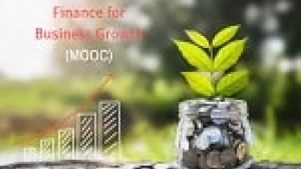 Finance for Business Growth (MOOC)