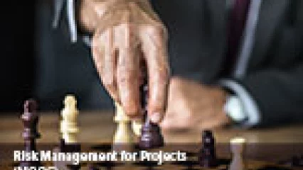 Risk Management for Projects