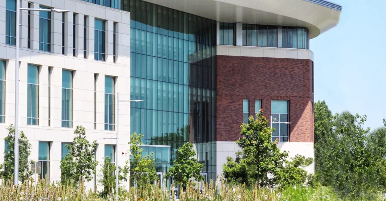 Boston's only public business school