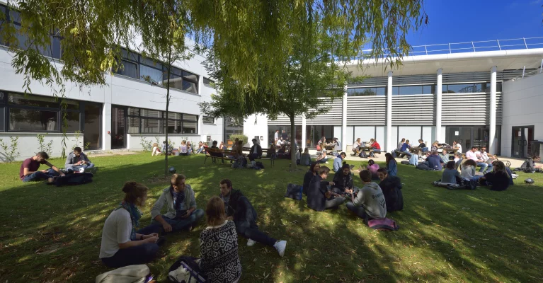 Study Business in France!
