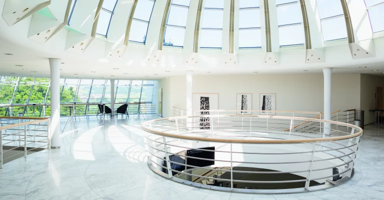 Executive MBA HSG - University of St.Gallen Switzerland