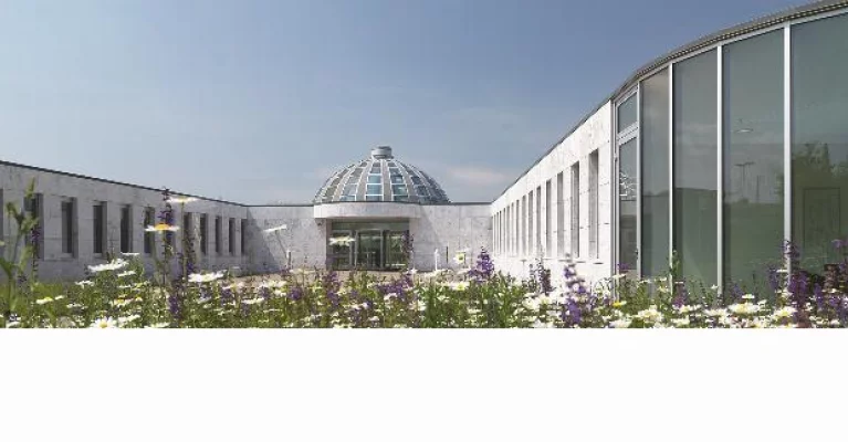 Executive MBA HSG - University of St.Gallen Switzerland
