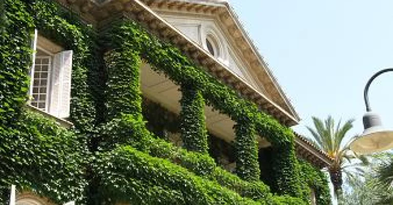 Executive MBA