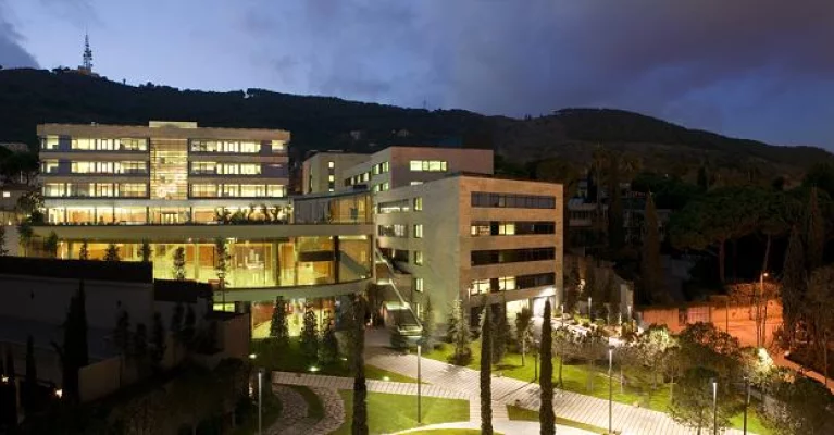 Executive MBA