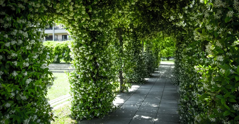 Italian Hub for Communication & Languages
