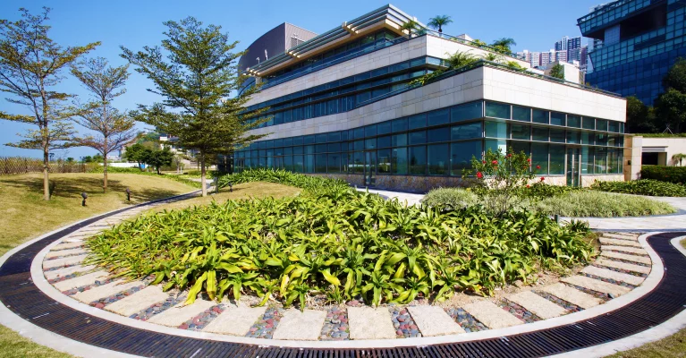 Specialised One-year Master's Degree
