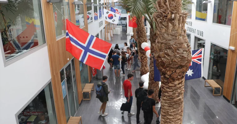 An International School of Management in France