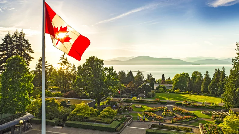 Top 3 Career Paths in Canada With a UBC Sauder MBA